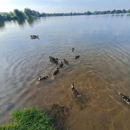 Ferienhaus Am See-2 Hungen Bagian luar foto
