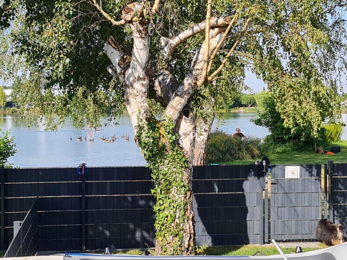 Ferienhaus Am See-2 Hungen Bagian luar foto