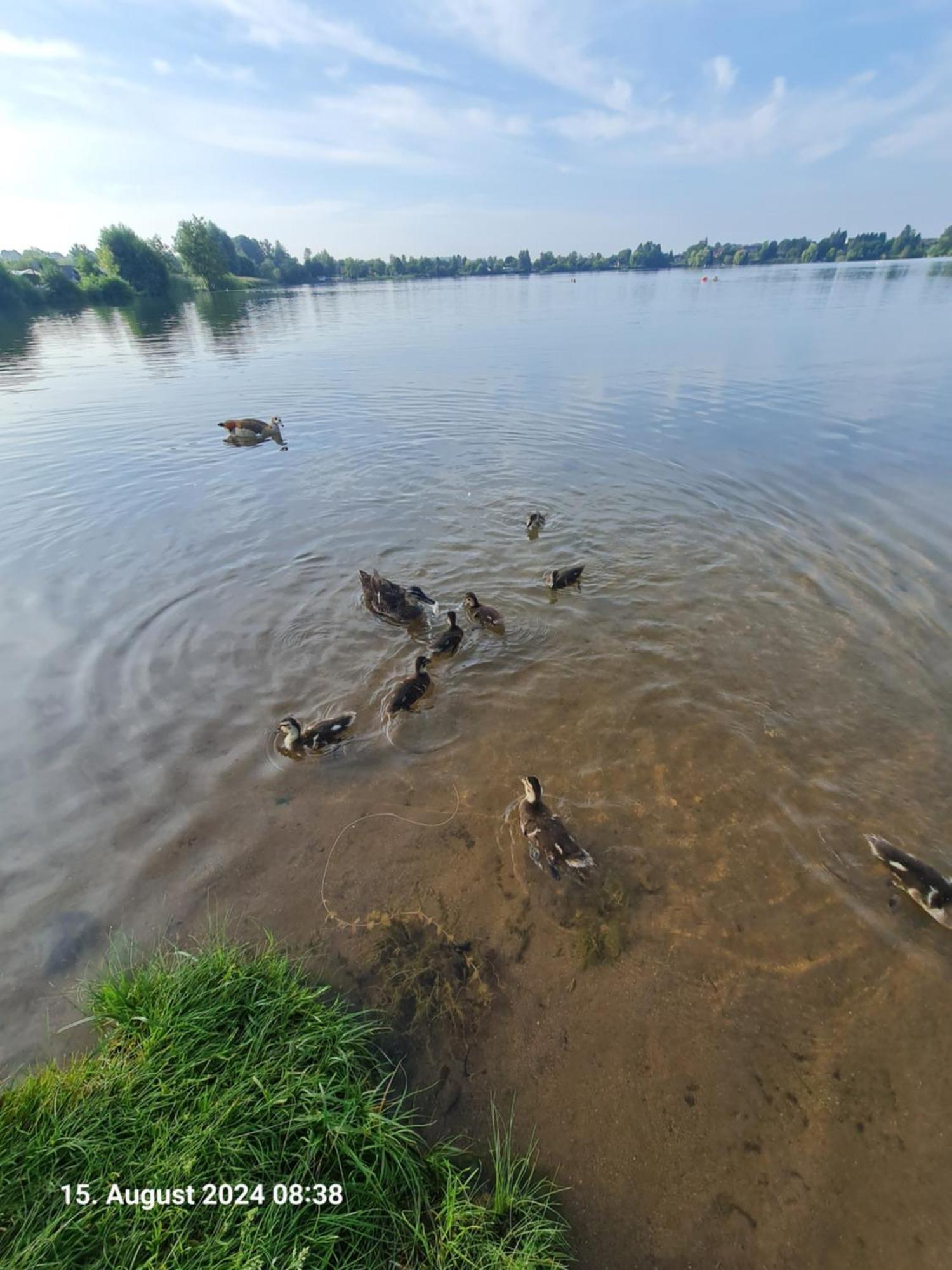 Ferienhaus Am See-2 Hungen Bagian luar foto