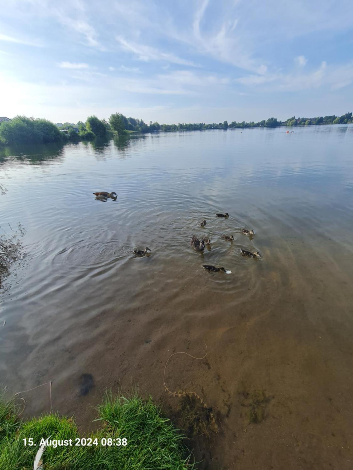 Ferienhaus Am See-2 Hungen Bagian luar foto