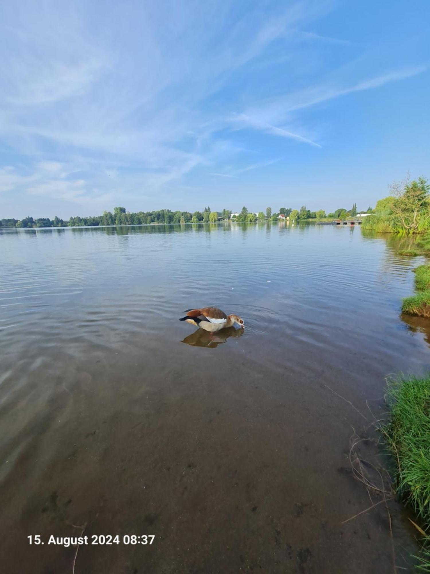 Ferienhaus Am See-2 Hungen Bagian luar foto
